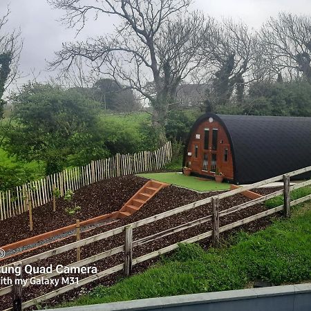 Ivy Hill Glamping Pod Apartment เอนนิส ภายนอก รูปภาพ
