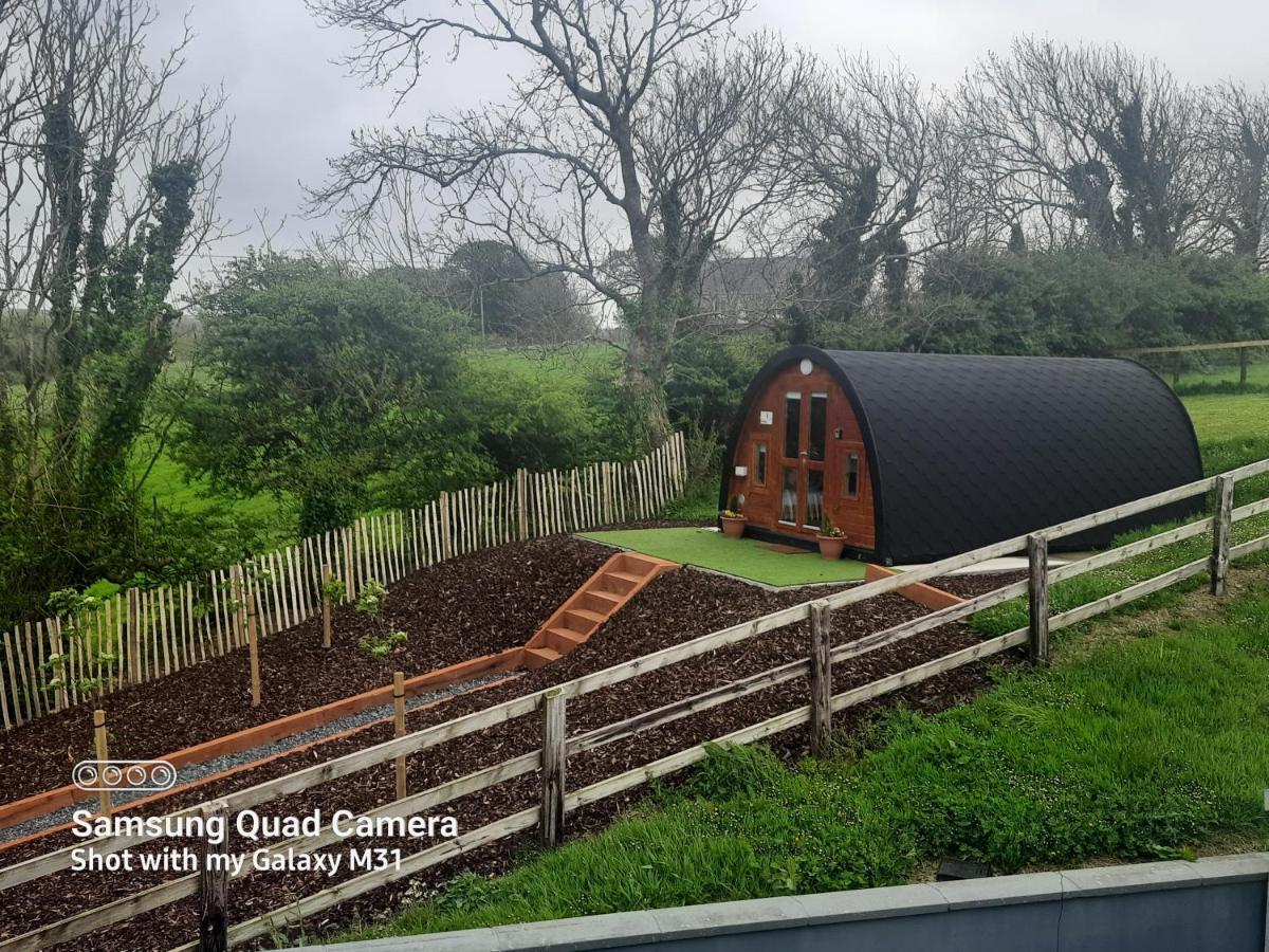 Ivy Hill Glamping Pod Apartment เอนนิส ภายนอก รูปภาพ
