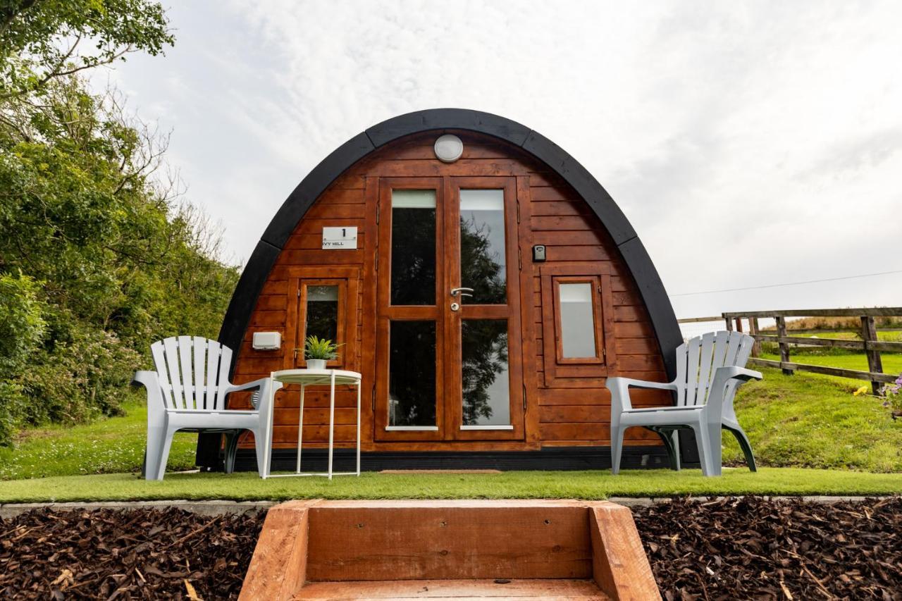Ivy Hill Glamping Pod Apartment เอนนิส ภายนอก รูปภาพ