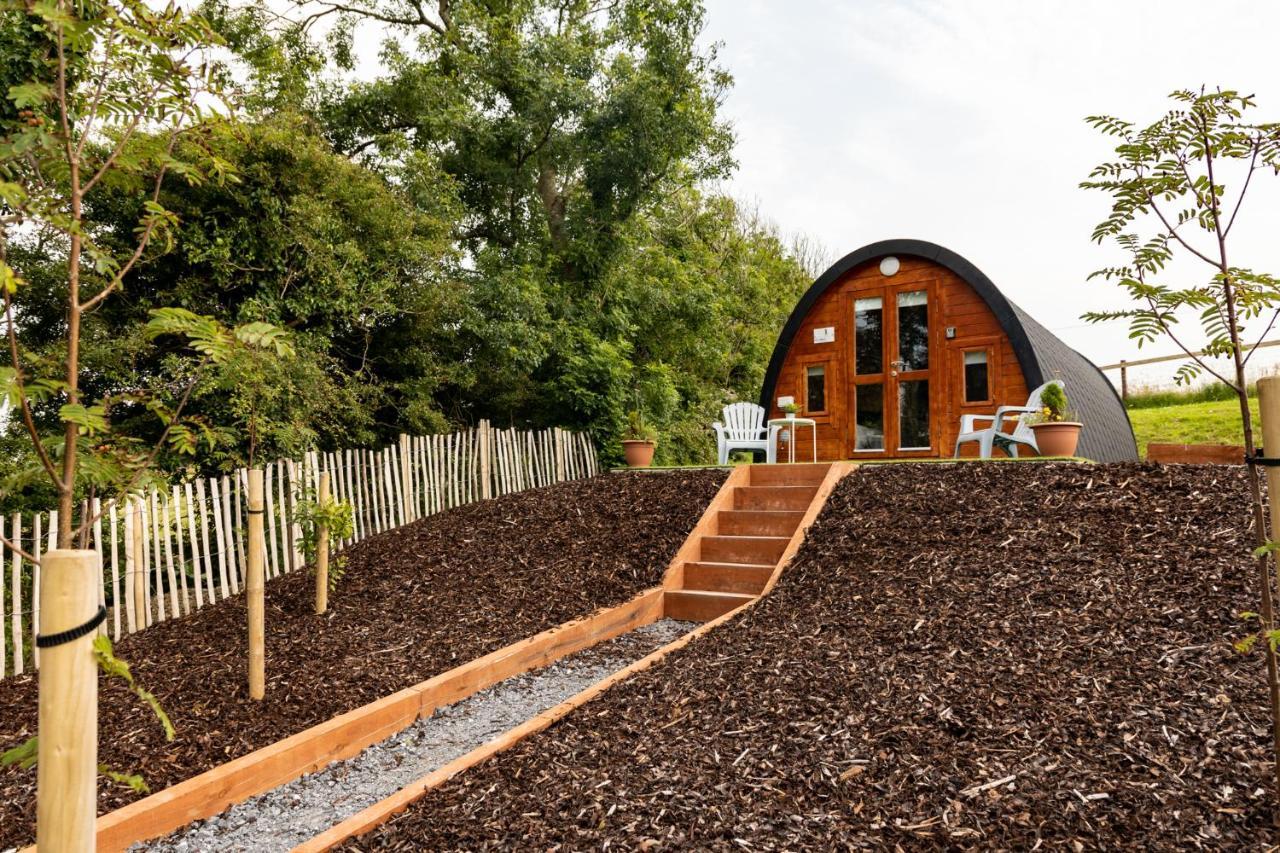 Ivy Hill Glamping Pod Apartment เอนนิส ภายนอก รูปภาพ